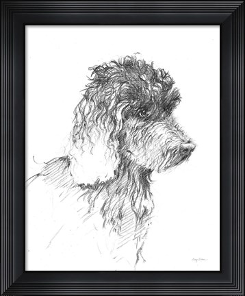 Framed Labradoodle Sketch Print