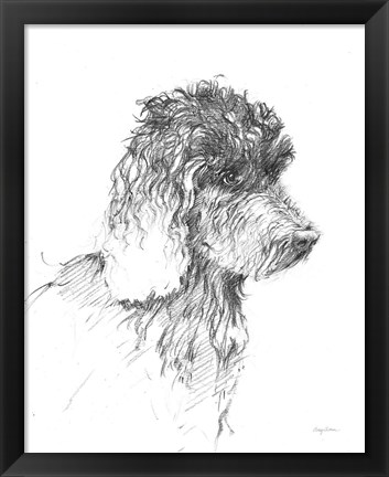 Framed Labradoodle Sketch Print