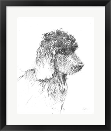 Framed Labradoodle Sketch Print