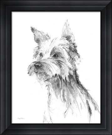 Framed Yorkshire Terrier Sketch Print