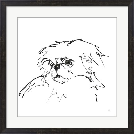 Framed Line Dog Pekingese Print