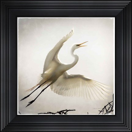 Framed Emergence Print