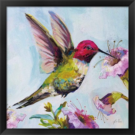 Framed Hummingbird I Florals Print