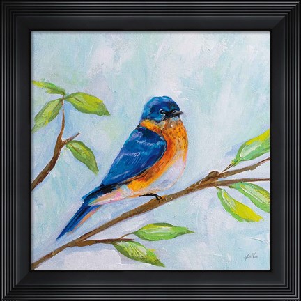 Framed Bluebird Print