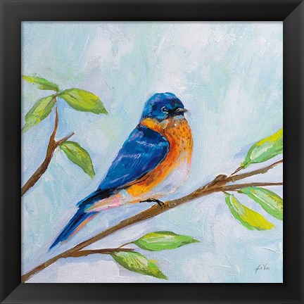 Framed Bluebird Print