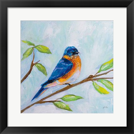 Framed Bluebird Print