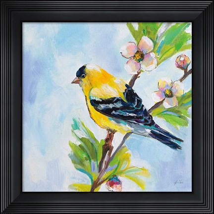 Framed Golden Finch Print