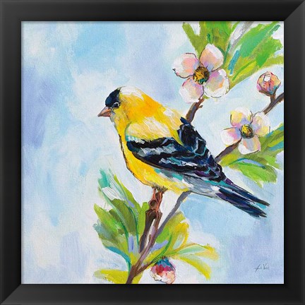 Framed Golden Finch Print