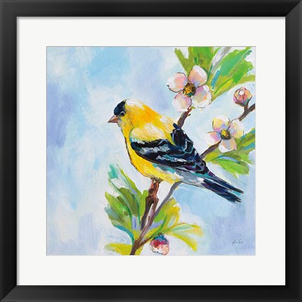 Framed Golden Finch Print