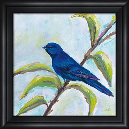 Framed Indigo Bunting Print