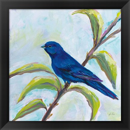 Framed Indigo Bunting Print