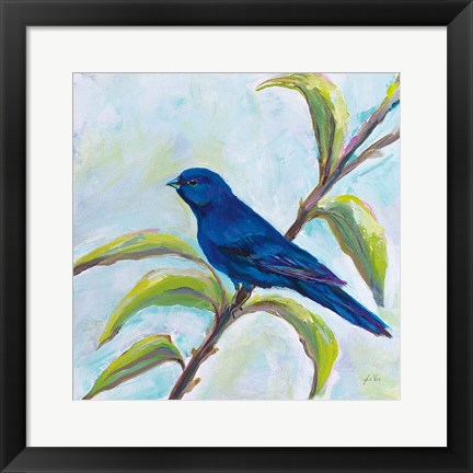 Framed Indigo Bunting Print