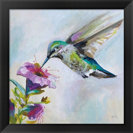 Framed Hummingbird II Print