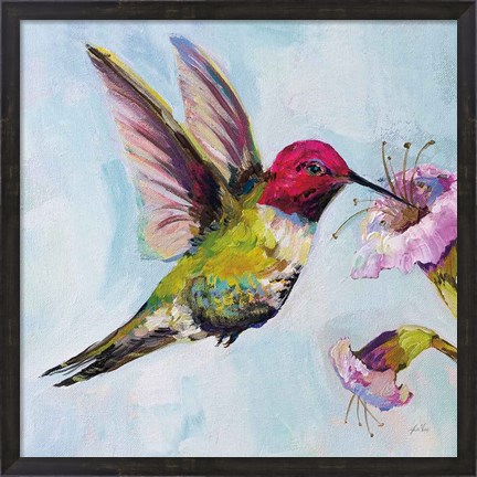 Framed Hummingbird I Print