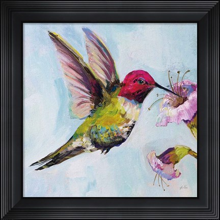 Framed Hummingbird I Print