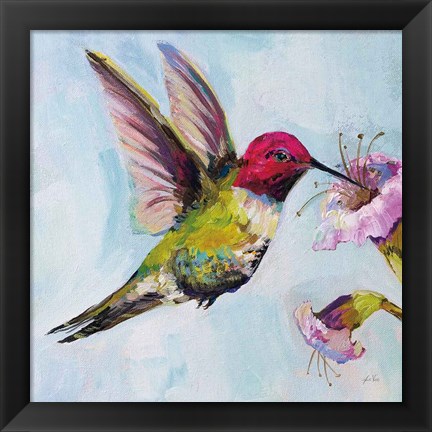 Framed Hummingbird I Print