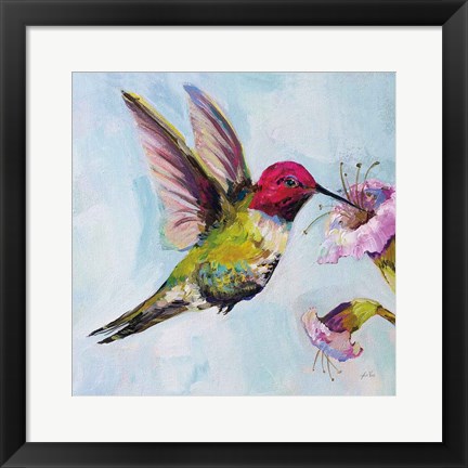 Framed Hummingbird I Print