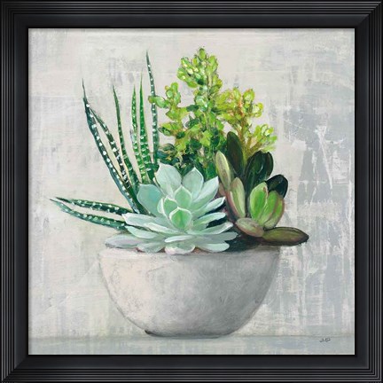 Framed Succulent Still Life II Print