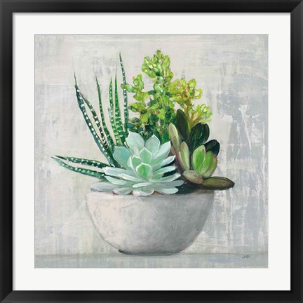 Framed Succulent Still Life II Print