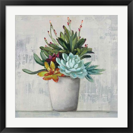 Framed Succulent Still Life I Print