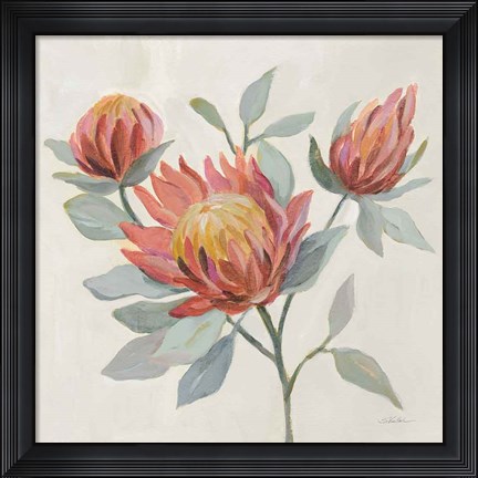 Framed Field Bloom II Print