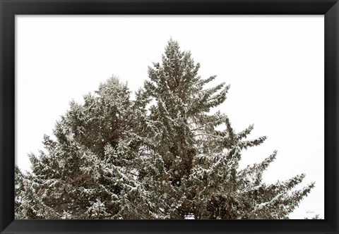 Framed Snow on Treetops Print