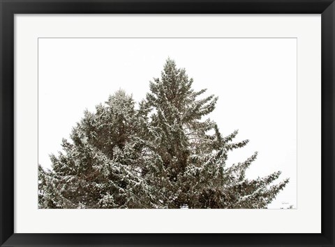 Framed Snow on Treetops Print