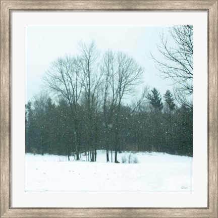 Framed Snowfall Print