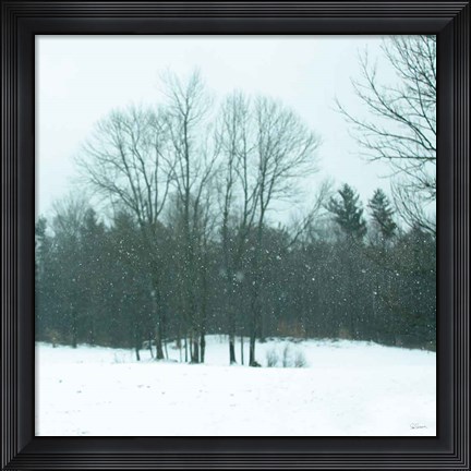 Framed Snowfall Print