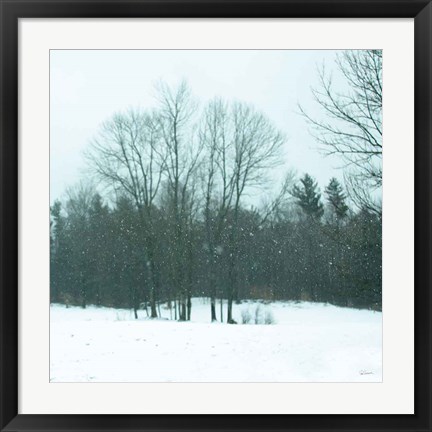 Framed Snowfall Print