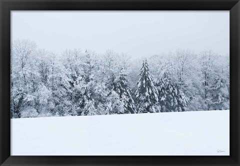 Framed Snowshoe Hill Print