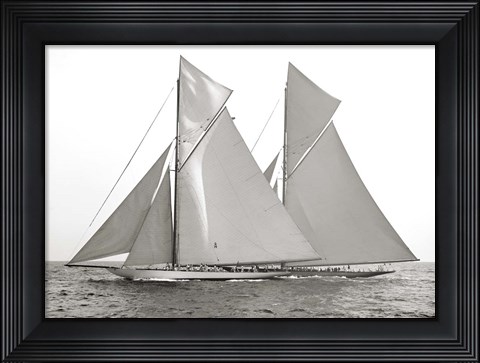 Framed Columbia &amp; Shamrock, 1901 Print