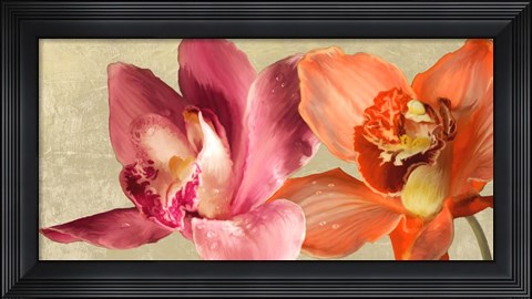 Framed Two Orchids Print