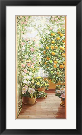 Framed Porta sul Terrazzo Fiorito Print