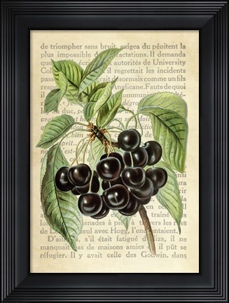 Framed Cherries, After J. Wright Print