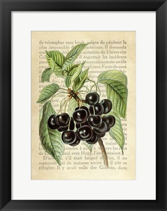 Framed Cherries, After J. Wright Print