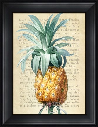 Framed Pineapple, After Redoute Print