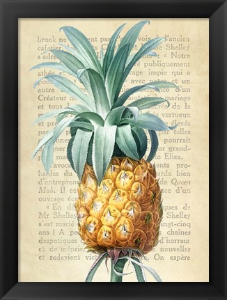 Framed Pineapple, After Redoute Print