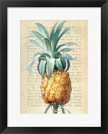 Framed Pineapple, After Redoute Print