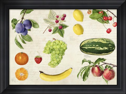 Framed Fruits du Monde Print