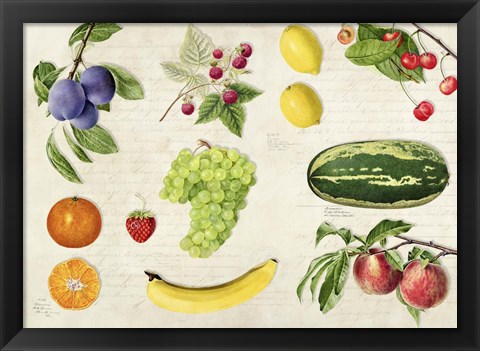 Framed Fruits du Monde Print