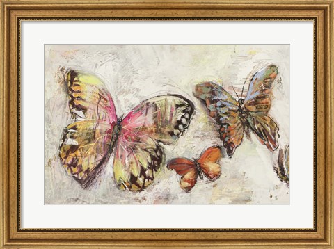 Framed Farfalle in Volo II Print
