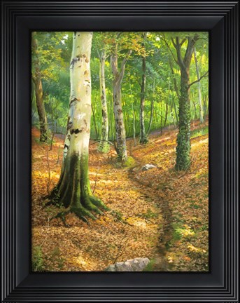 Framed Sentiero nel Bosco Print