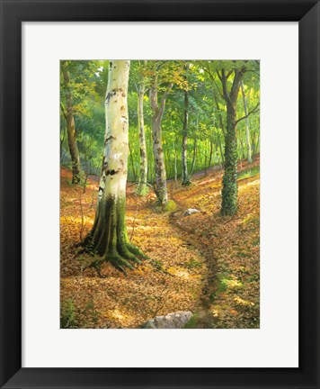 Framed Sentiero nel Bosco Print