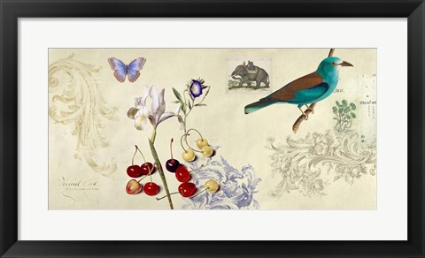 Framed Cabinet of Curiosities I Print