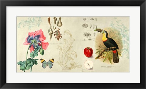 Framed Cabinet of Curiosities II Print