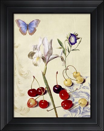 Framed Cabinet of Curiosities 1 Print
