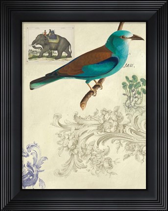 Framed Cabinet of Curiosities 2 Print