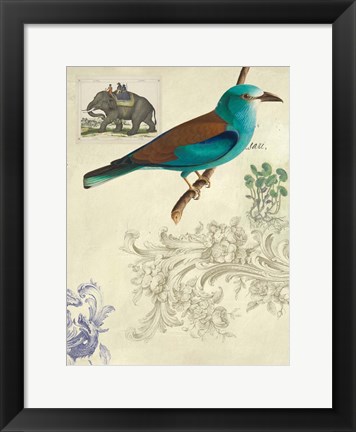 Framed Cabinet of Curiosities 2 Print