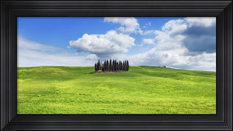 Framed Cypresses, Val d&#39;Orcia, Tuscany (detail) Print
